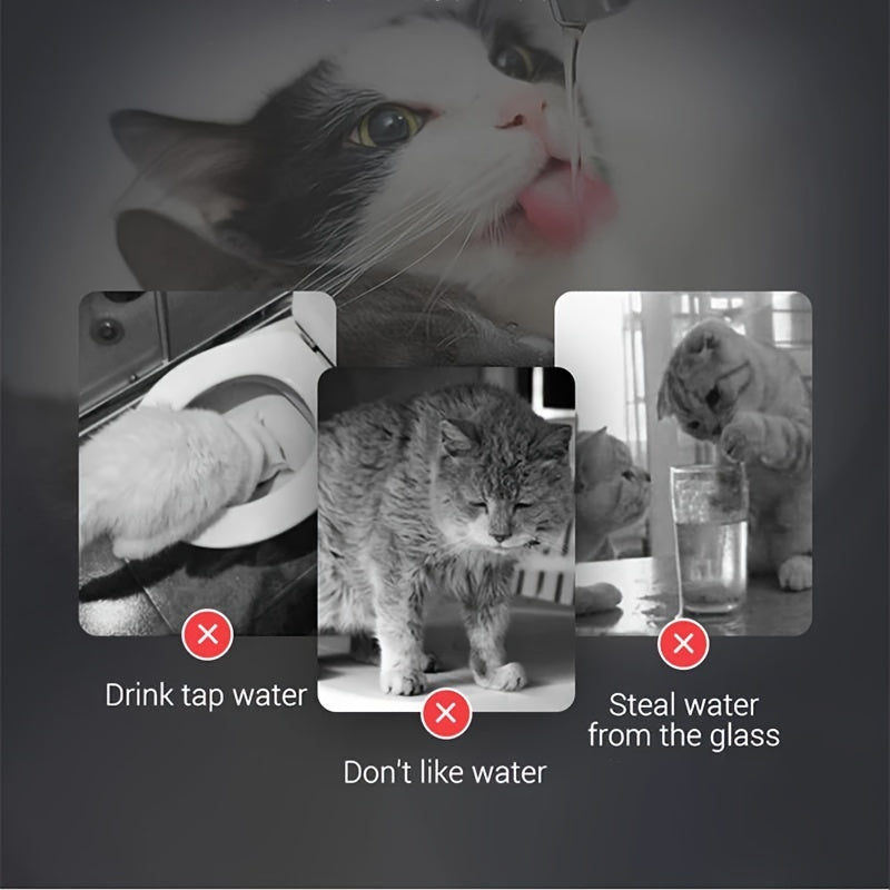 Smart Pet Water Fountain