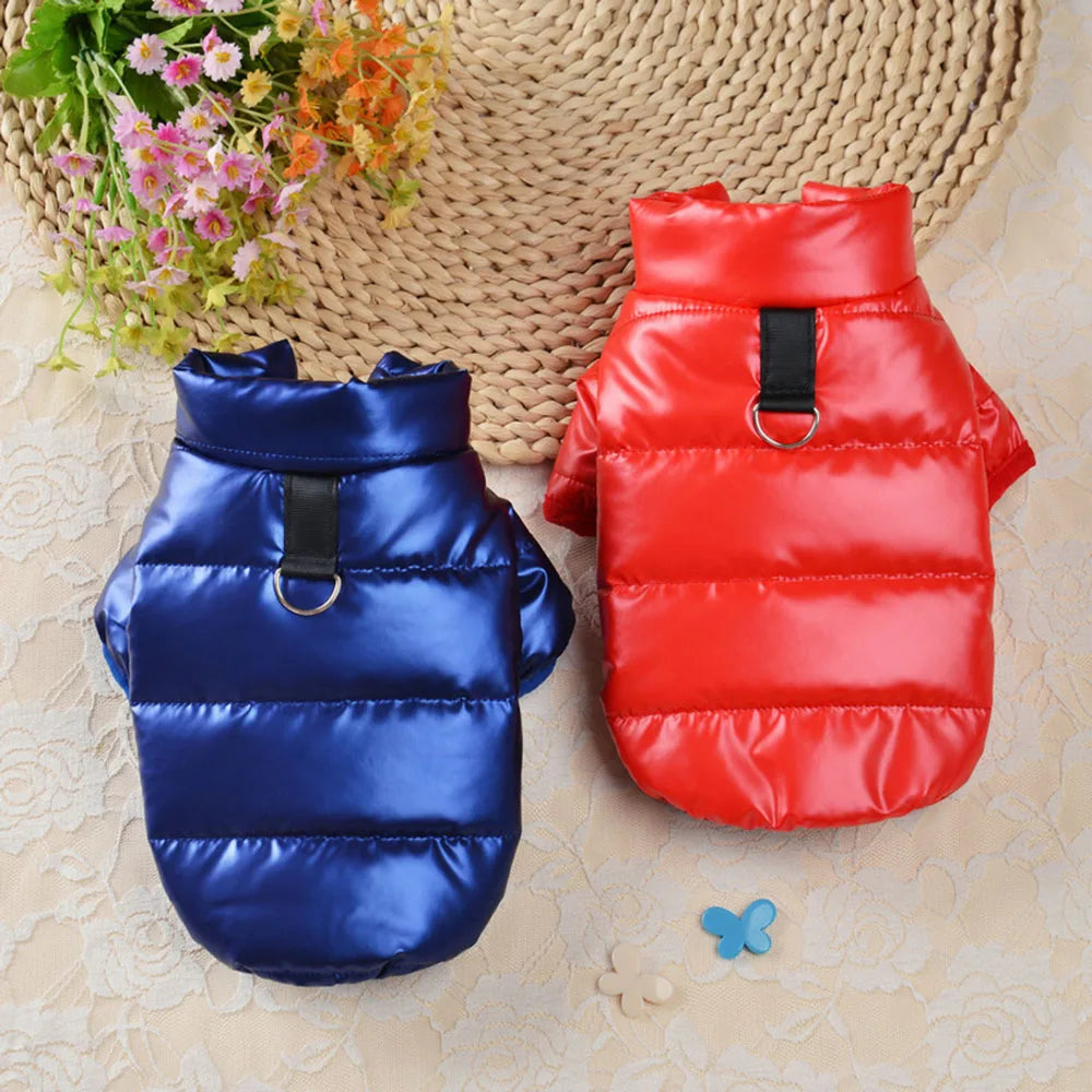 Waterproof Shiny Leather Clothes for Small Dogs Cats