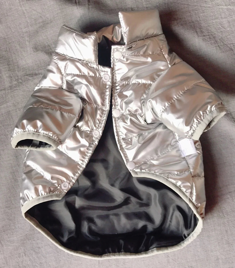 Waterproof Shiny Leather Clothes for Small Dogs Cats