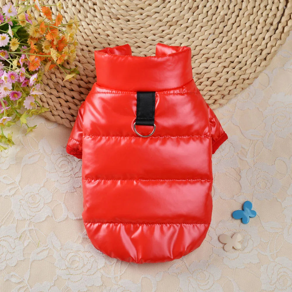 Waterproof Shiny Leather Clothes for Small Dogs Cats