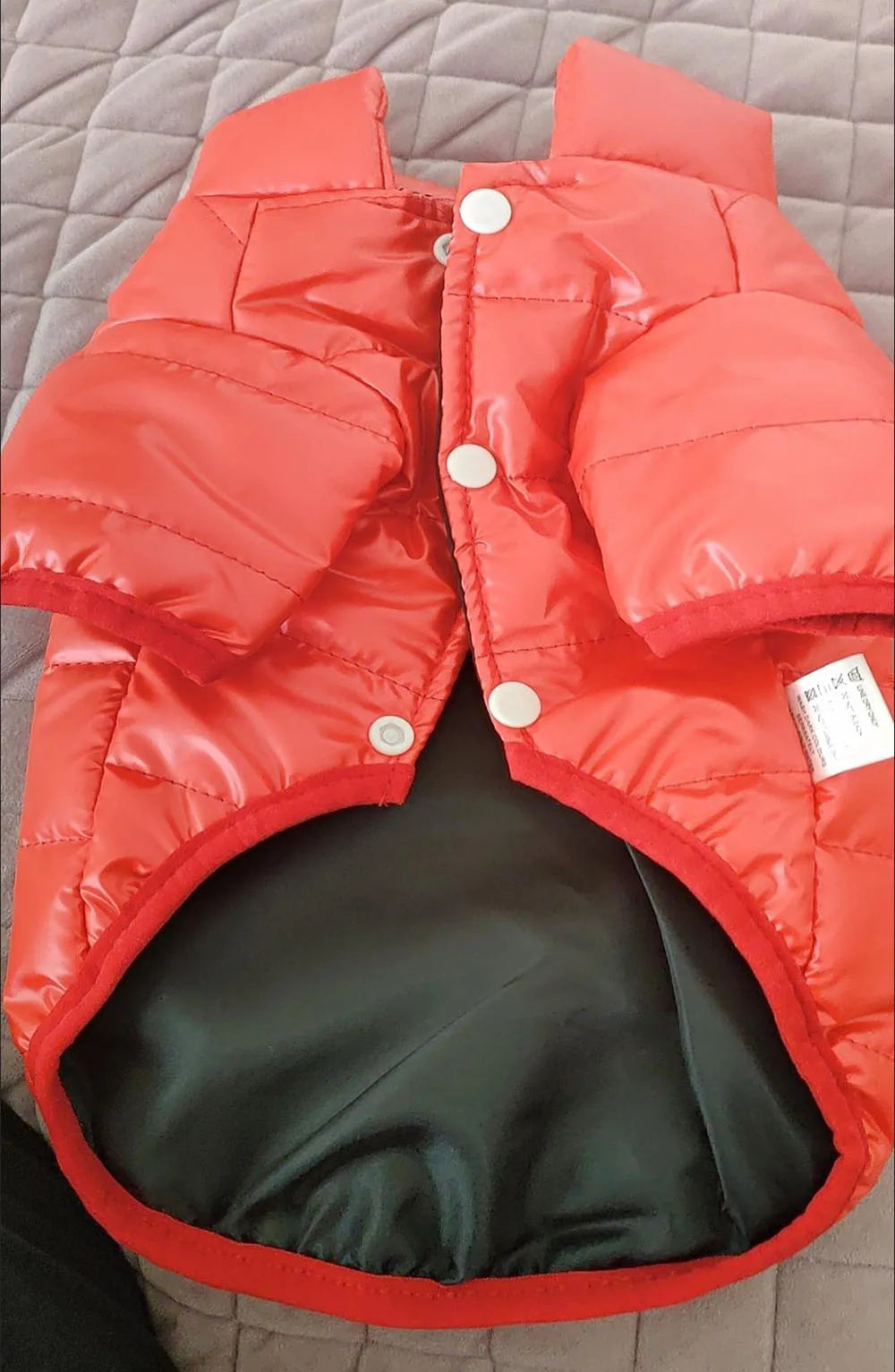 Waterproof Shiny Leather Clothes for Small Dogs Cats