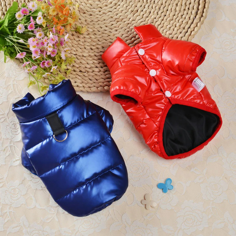 Waterproof Shiny Leather Clothes for Small Dogs Cats