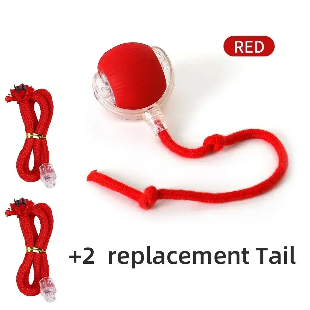 Cat Interactive Ball Toy