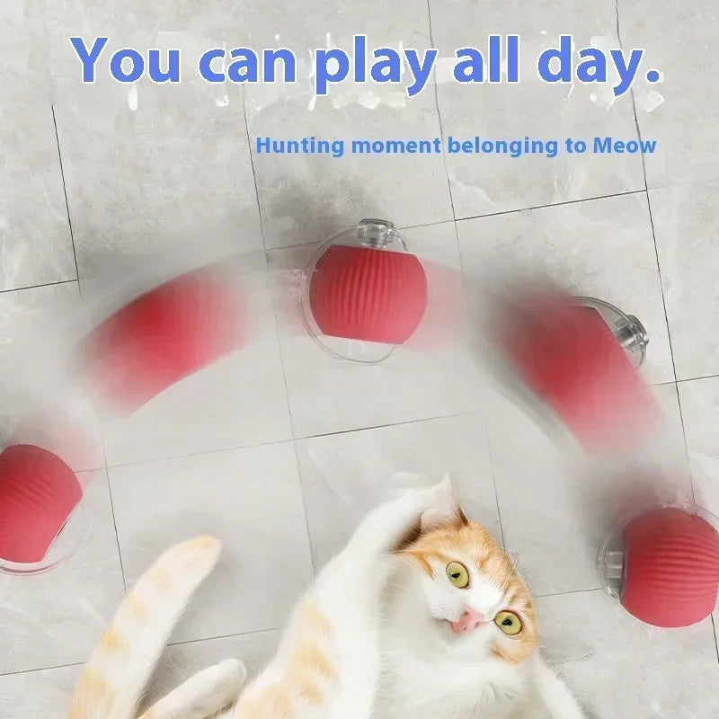 Cat Interactive Ball Toy