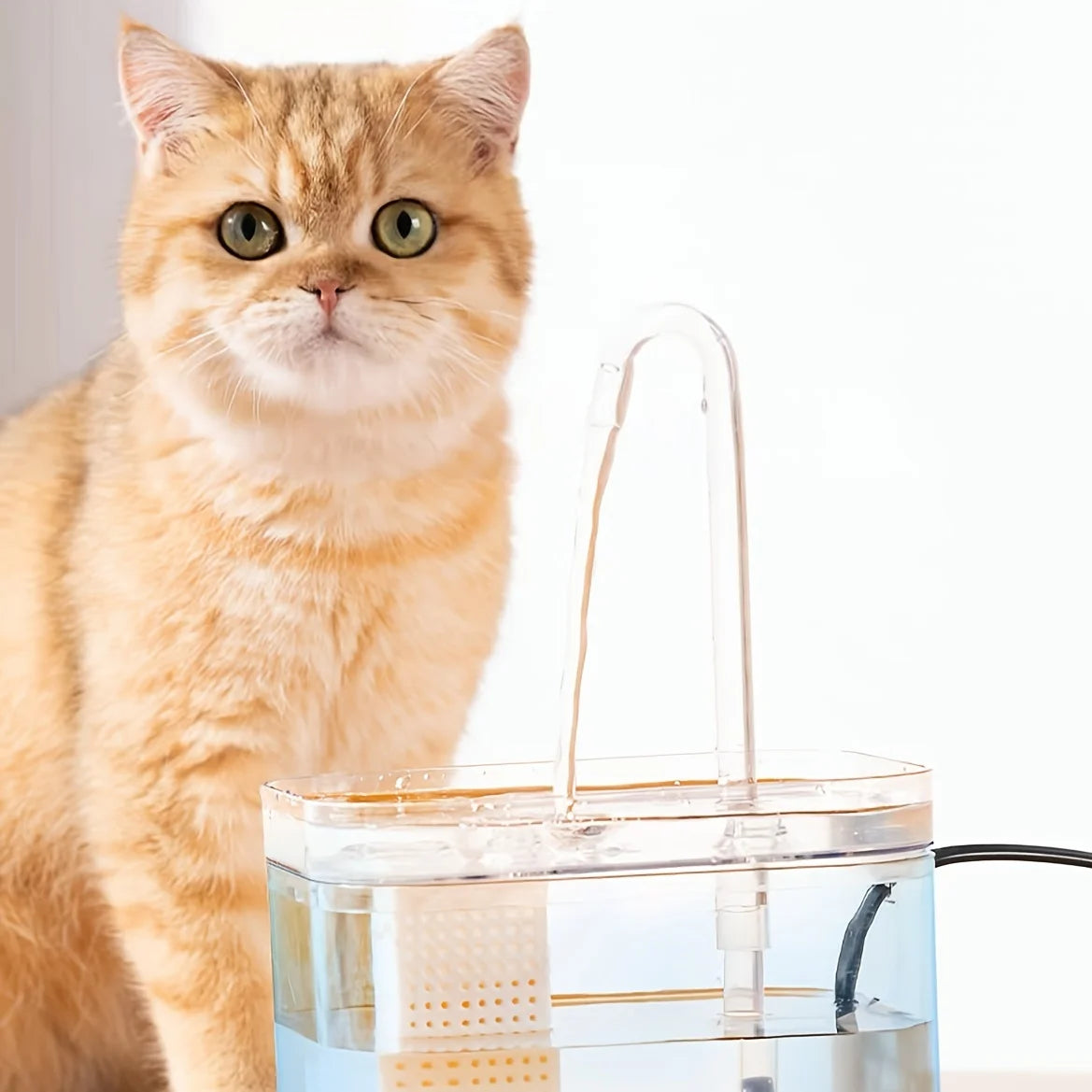 Automatic Pet Water Fountain