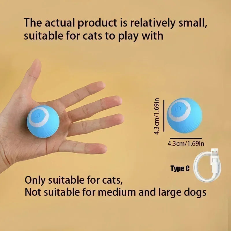 Cat Interactive Ball Toy