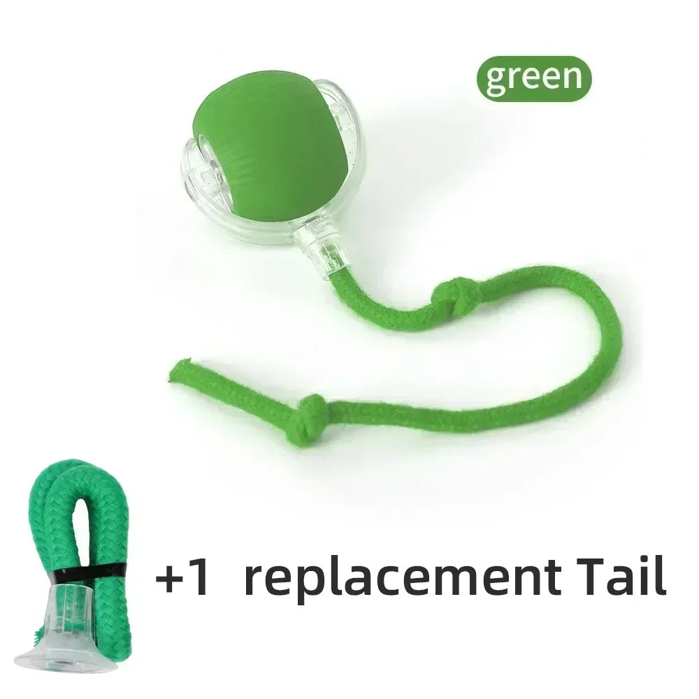 Cat Interactive Ball Toy