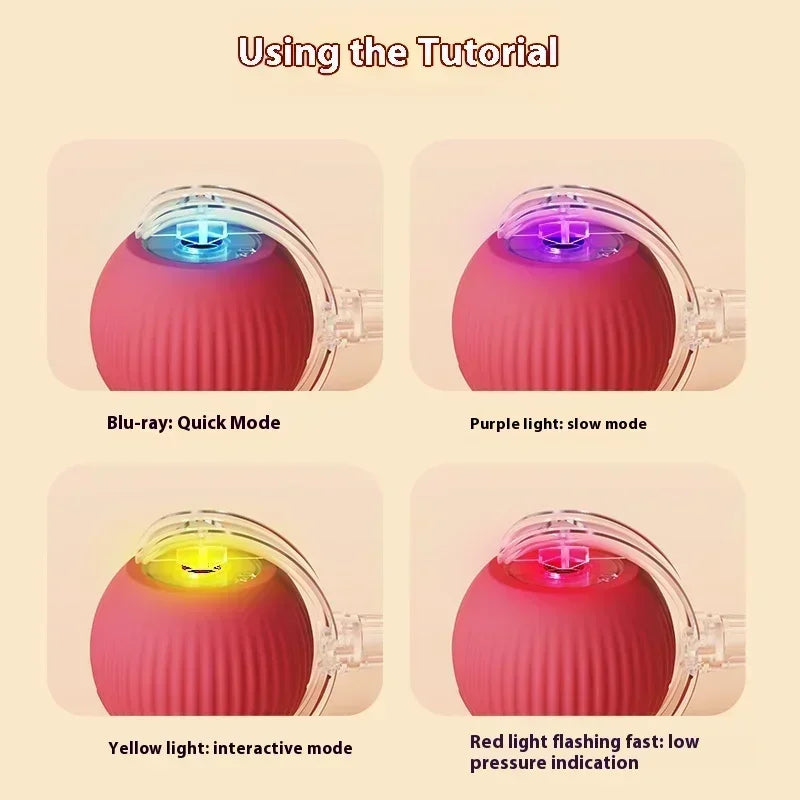Cat Interactive Ball Toy