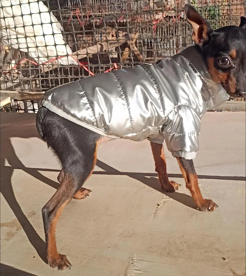 Waterproof Shiny Leather Clothes for Small Dogs Cats