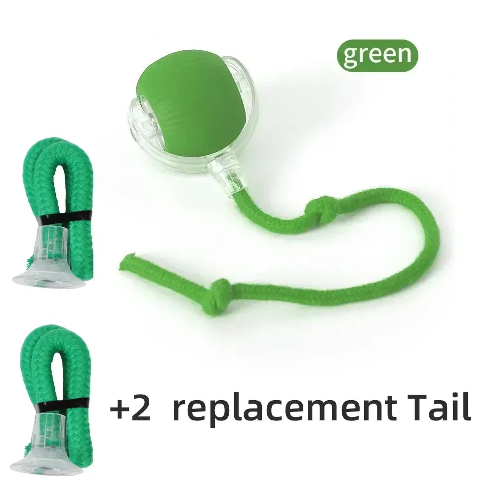 Cat Interactive Ball Toy