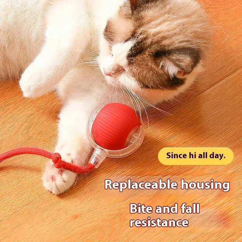 Cat Interactive Ball Toy