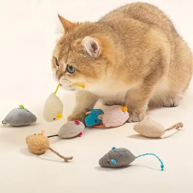 3/7PCS Interactive Plush Cat Toys