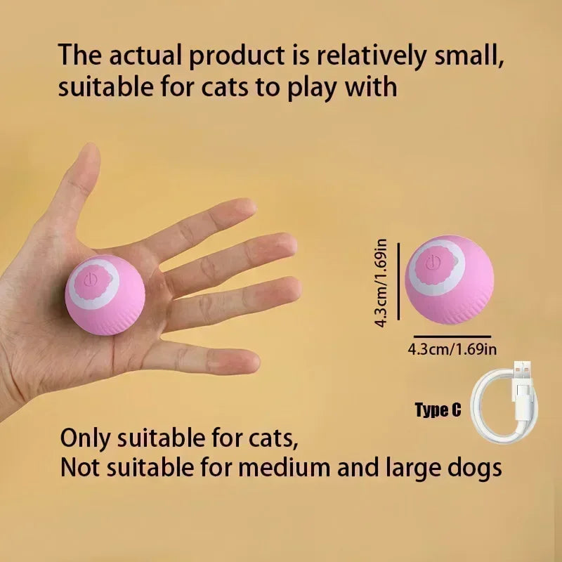 Cat Interactive Ball Toy