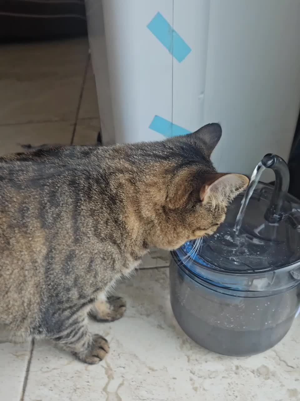 Smart Pet Water Fountain