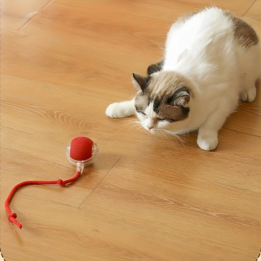 Rechargeable Motorised Interactive Cat Toy