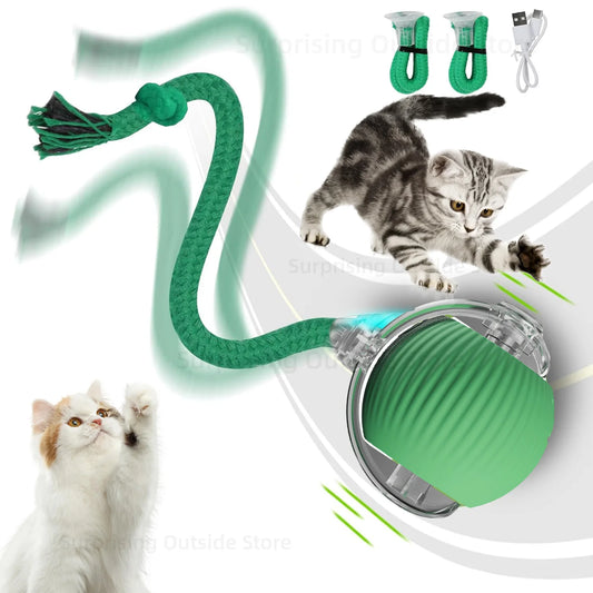 Cat Interactive Ball Toy